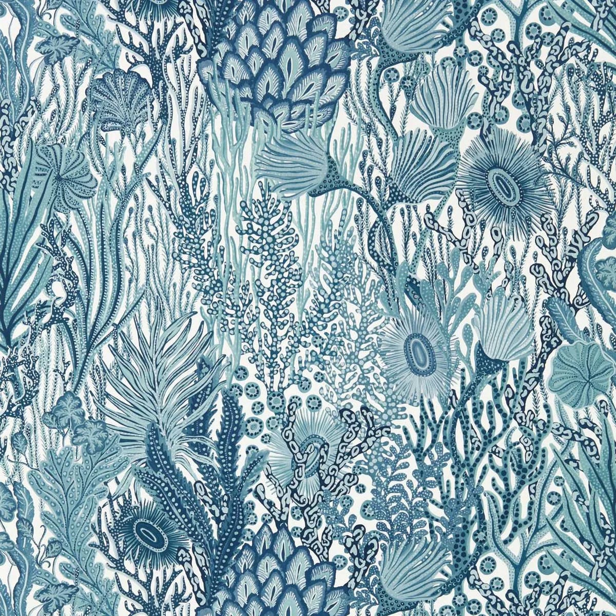 Acropora Wallpaper roomset