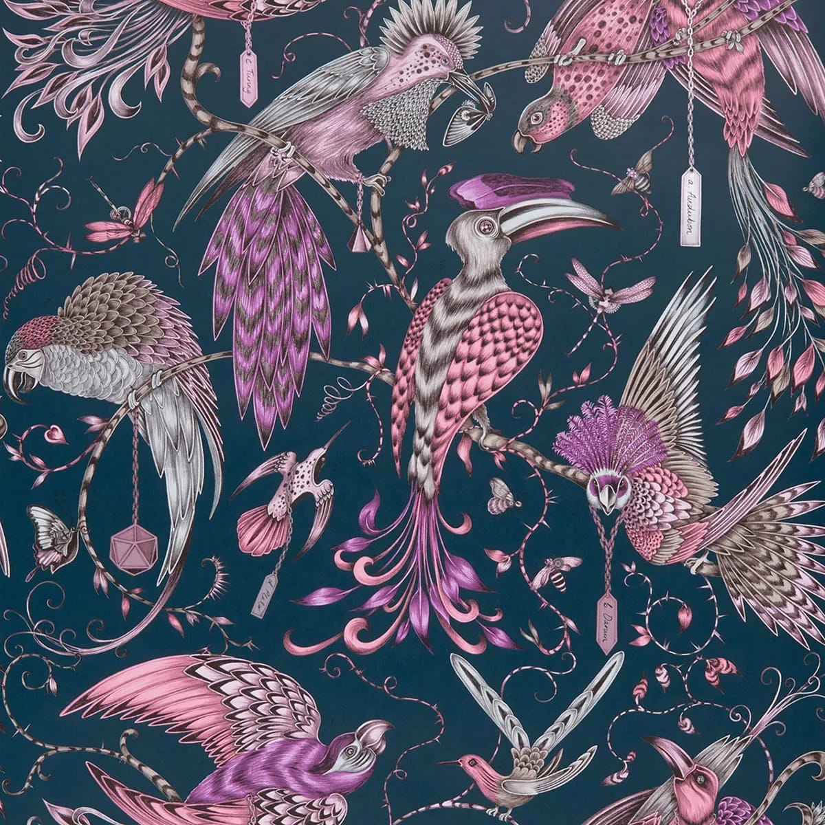 Audubon Wallpaper — Pink