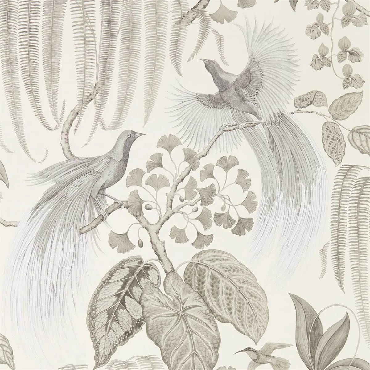 Bird Of Paradise Wallpaper roomset