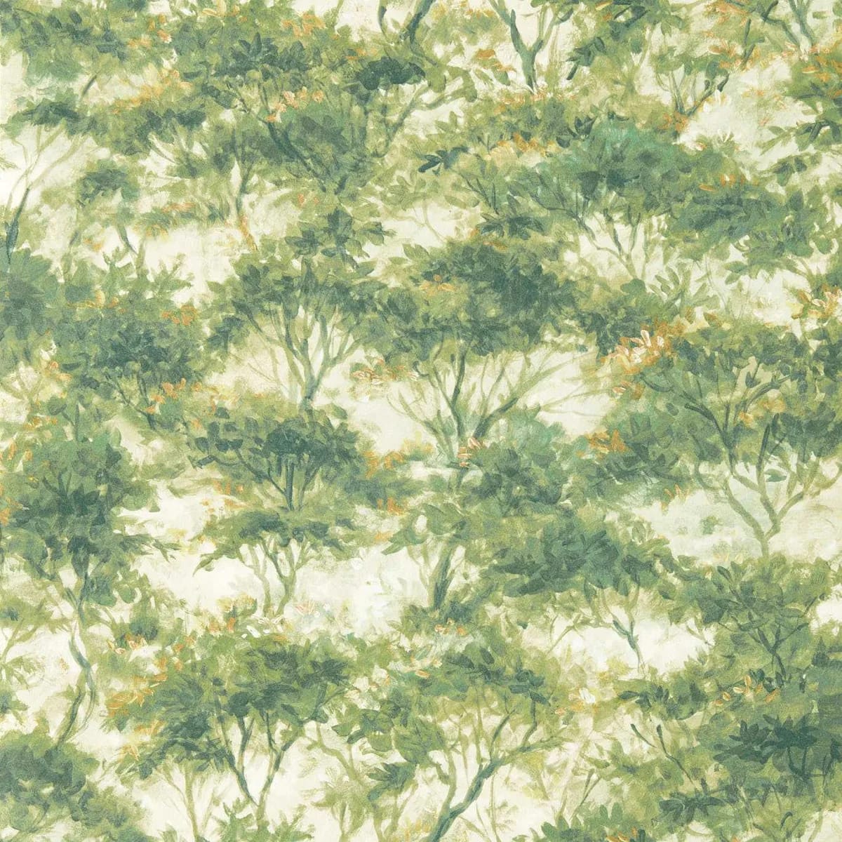 Boschetto Wallpaper — Forest