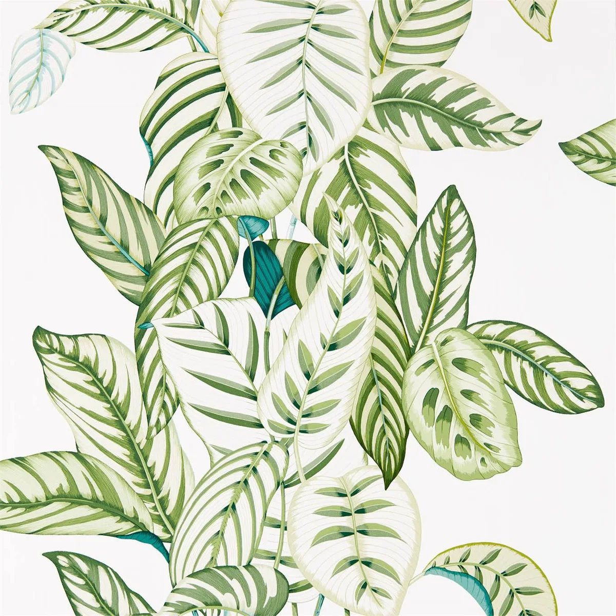Calathea Wallpaper roomset