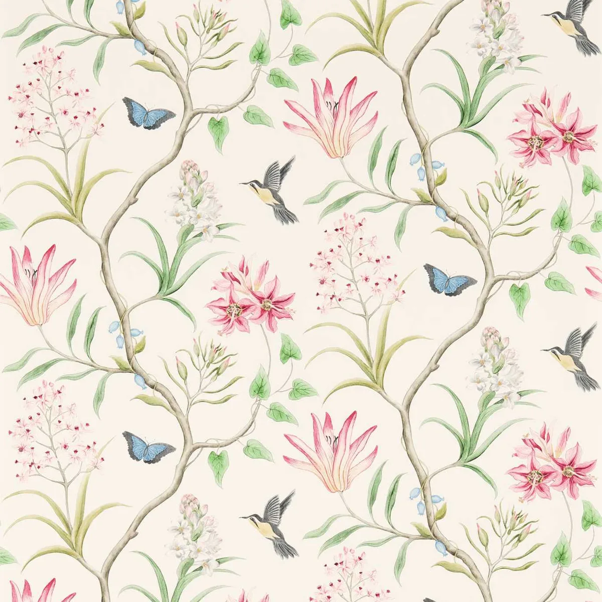 Clementine Wallpaper roomset