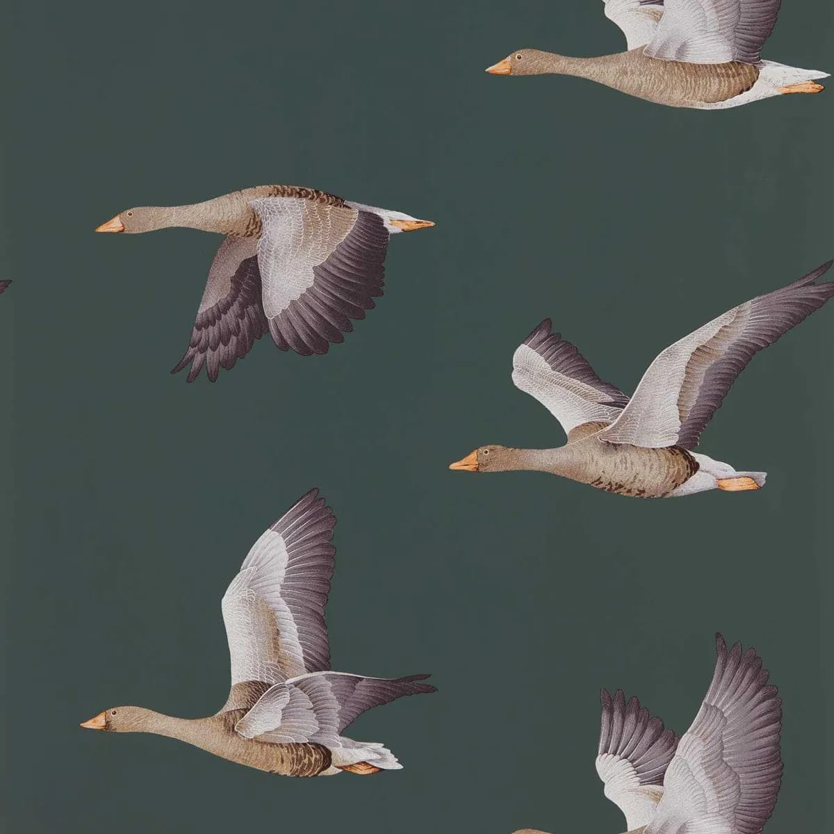 Elysian Geese (Wallpaper) Wallpaper roomset
