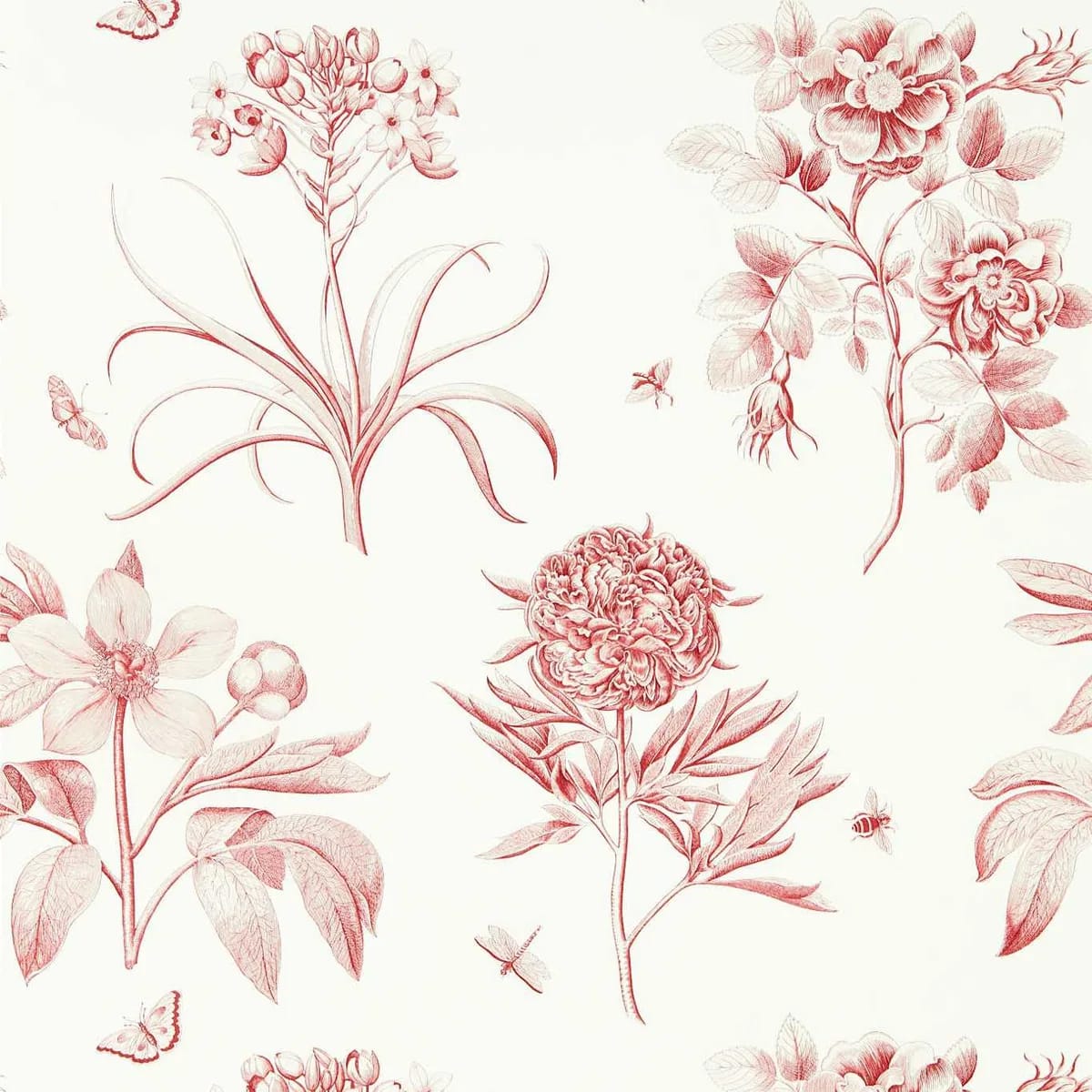 Etchings & Roses Wallpaper roomset
