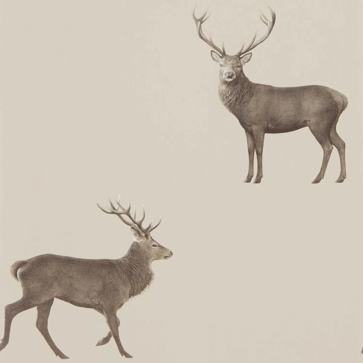 Evesham Deer (Wallpaper) Wallpaper roomset