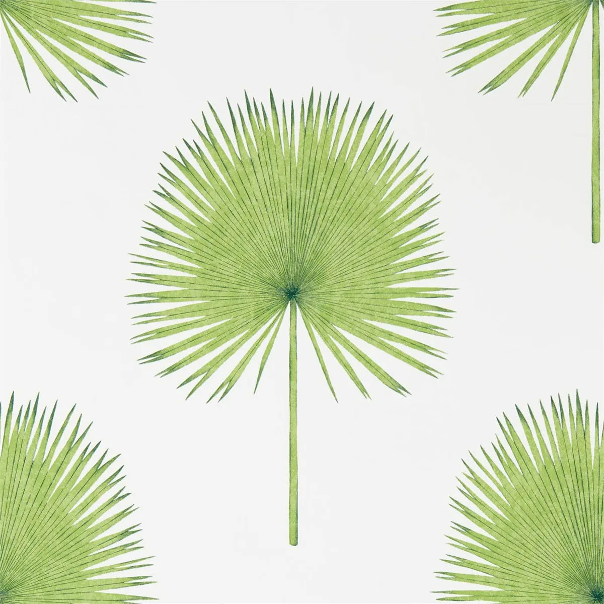 Fan Palm Wallpaper roomset