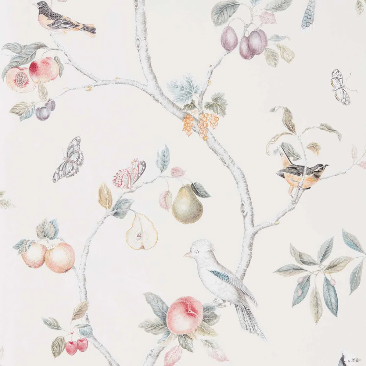 Fruit Aviary Wallpaper roomset