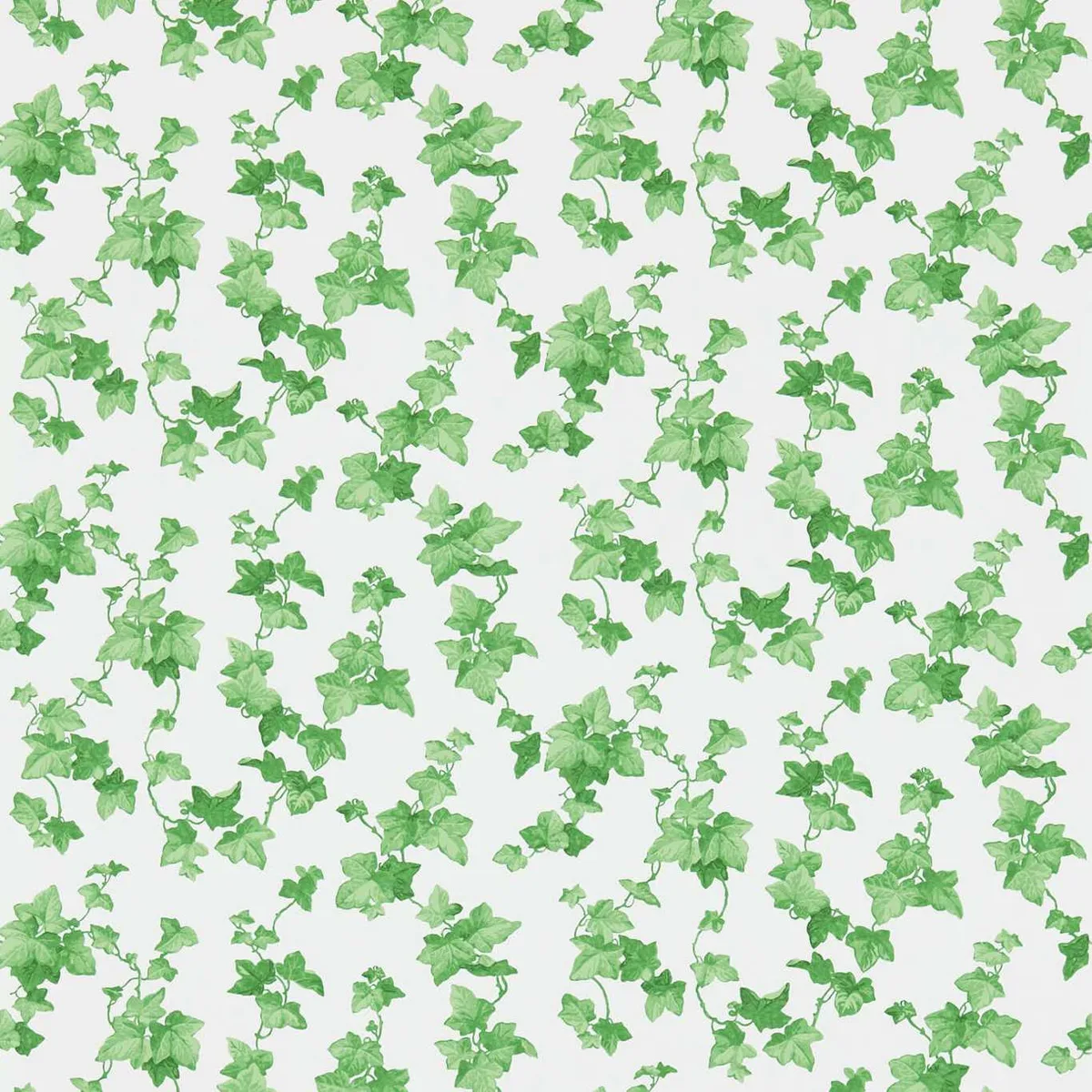 Hedera Green Wallpaper roomset