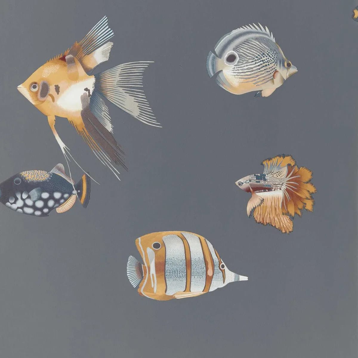 Kamanu Wallpaper — Amber/Slate