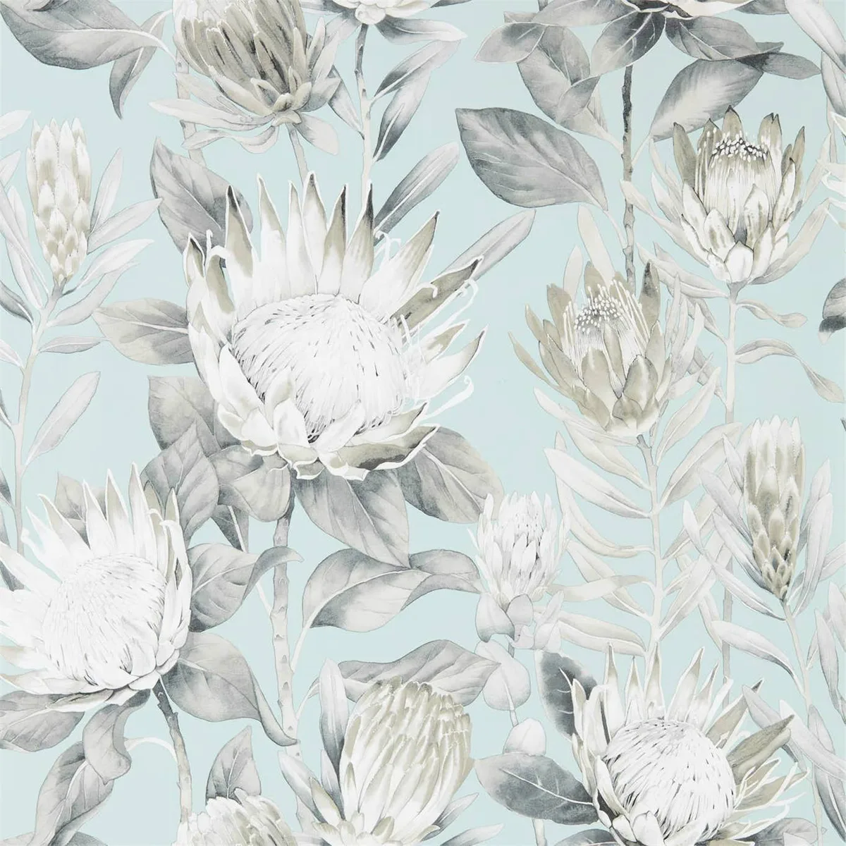 King Protea Wallpaper roomset