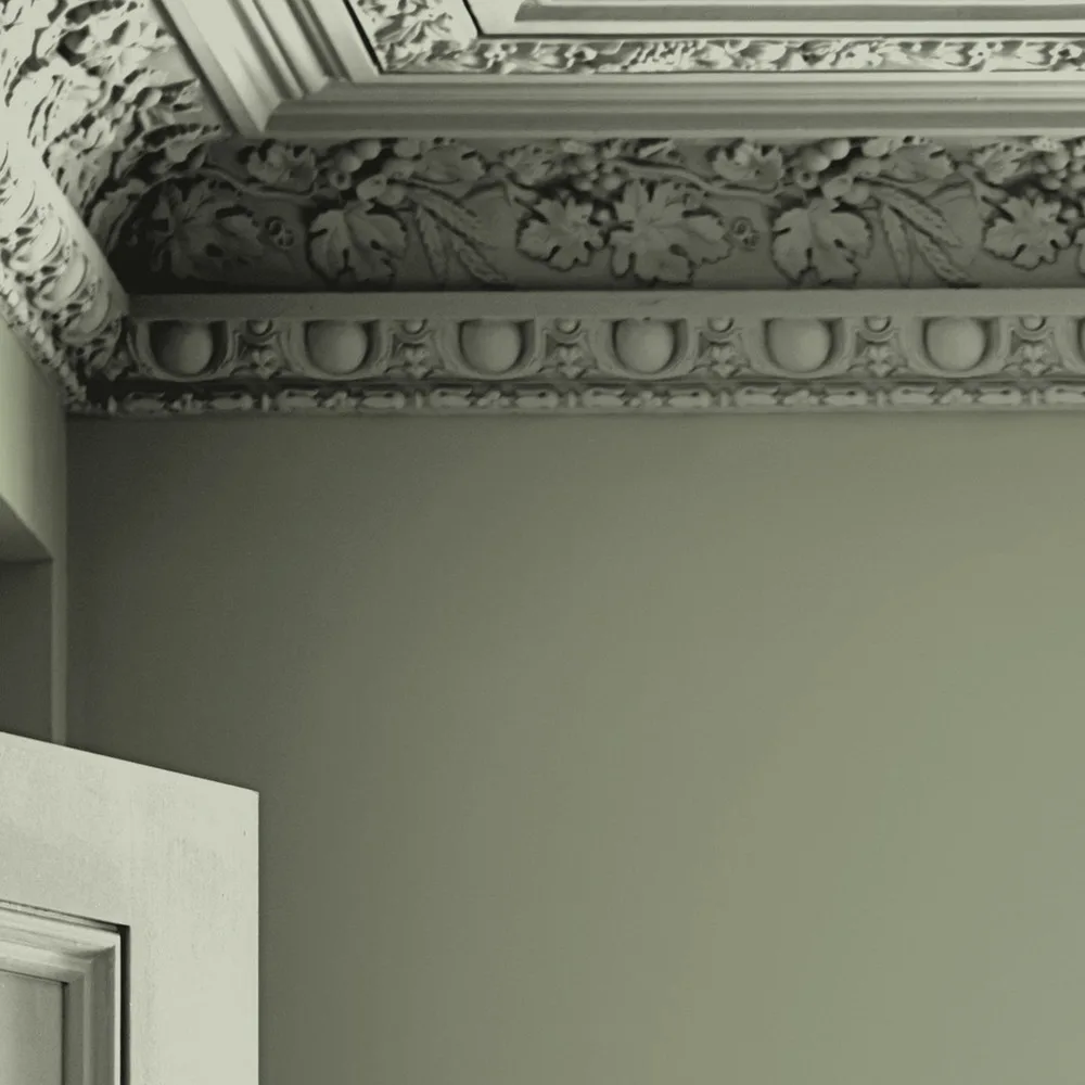 Laura Ashley Hedgerow Paint detail 1