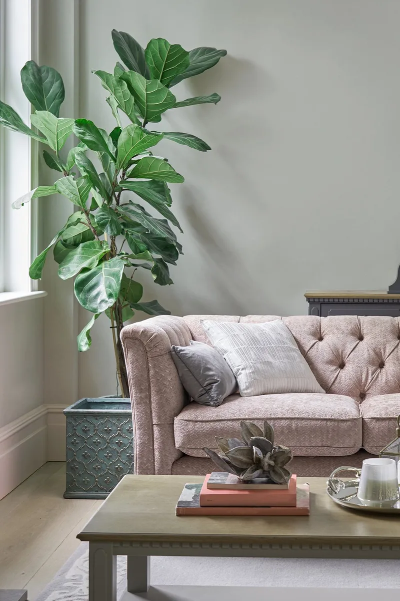 Laura Ashley Pale Sage Leaf Paint detail 1
