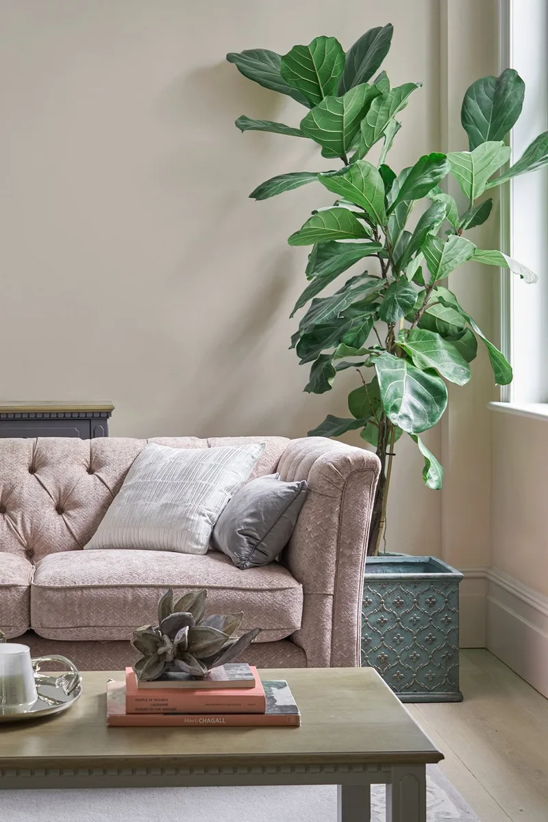 Laura Ashley Soft Natural Paint detail 1