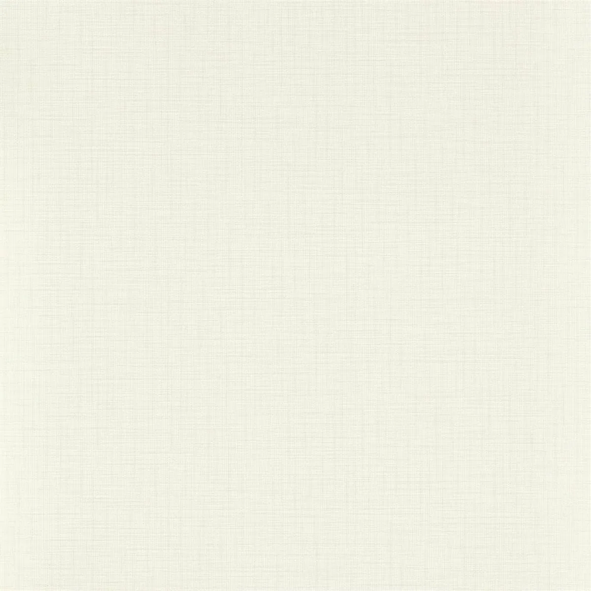 Lint Wallpaper — Dove