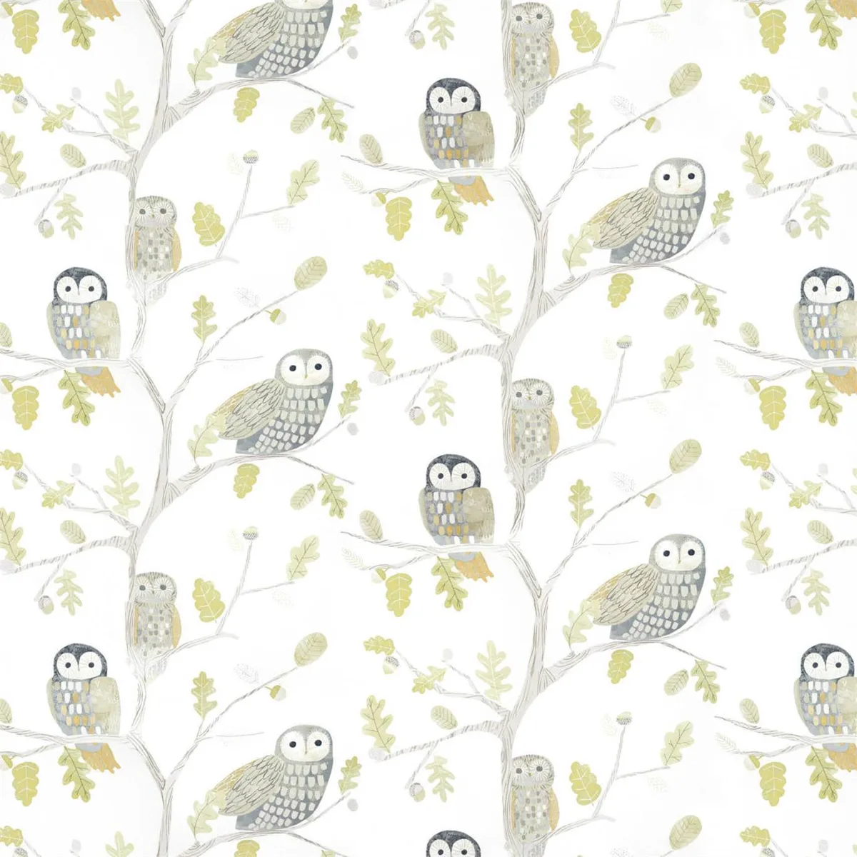 Little Owls Wallpaper — Kiwi