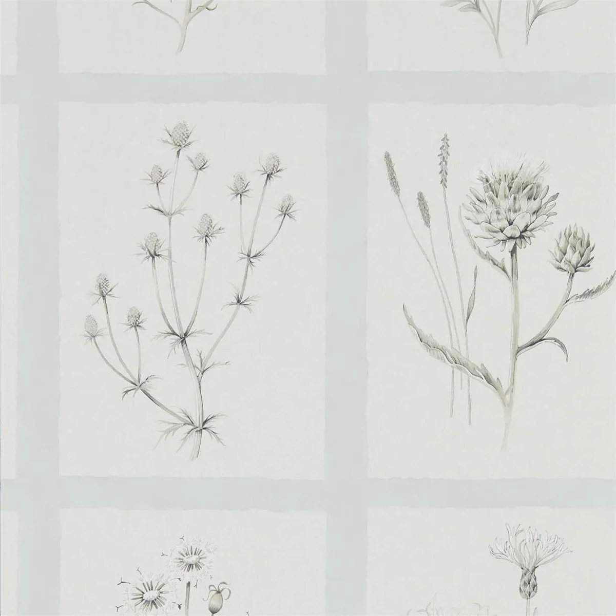 Little Thistles Grey Blue Wallpaper roomset