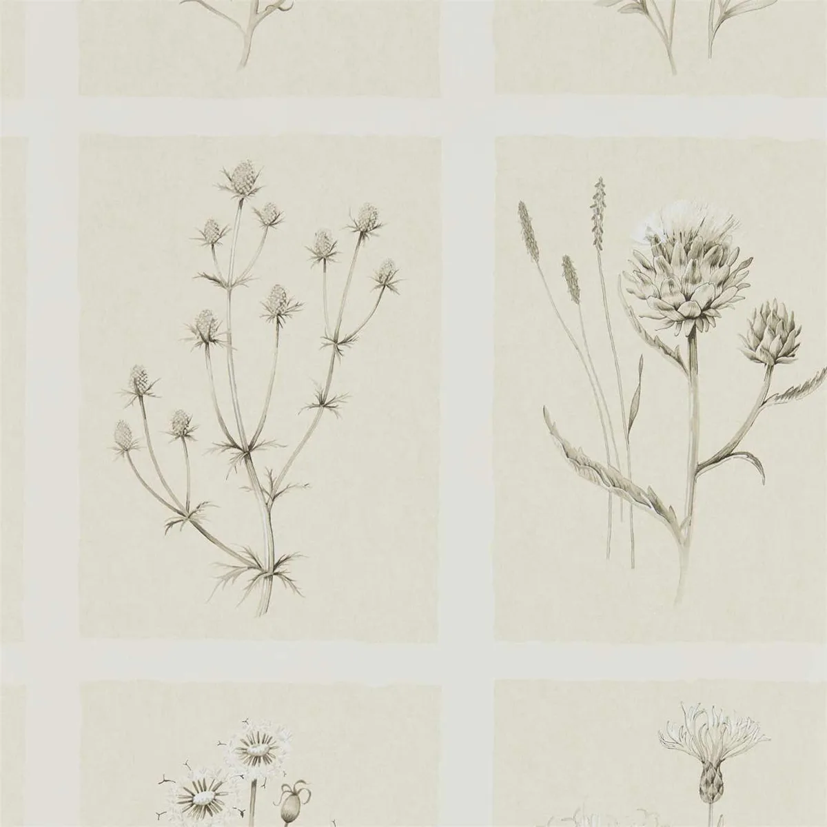 Little Thistles Wallpaper roomset