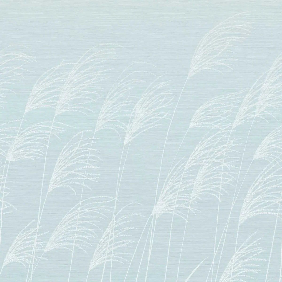 Miscanthus Wallpaper — Sky/Celestial