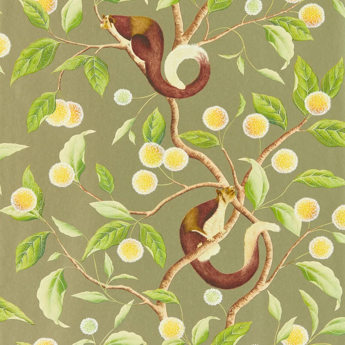 Nellie Wallpaper — Gilver/Meadow