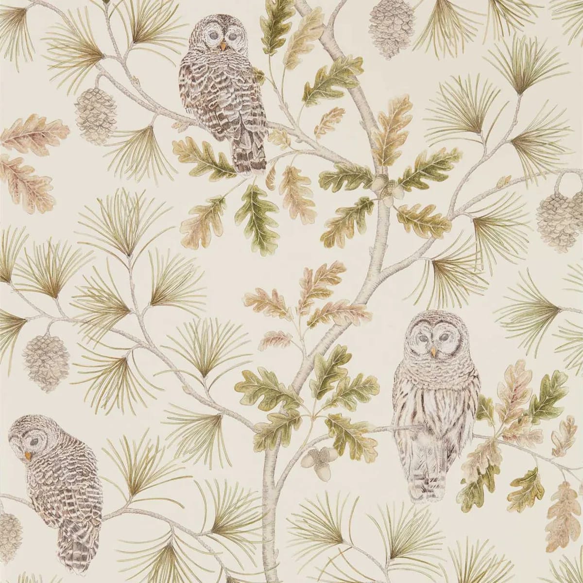 Owlswick (Wallpaper) Wallpaper roomset