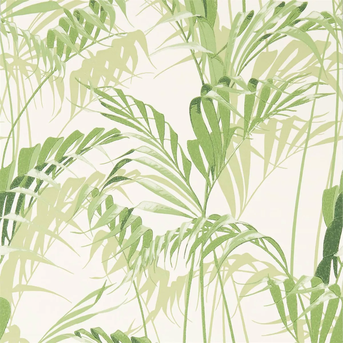 Palm House Wallpaper roomset