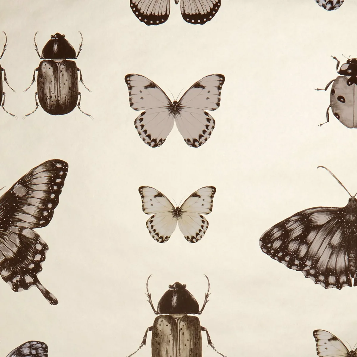Papilio Charcoal/Gold Wallpaper roomset