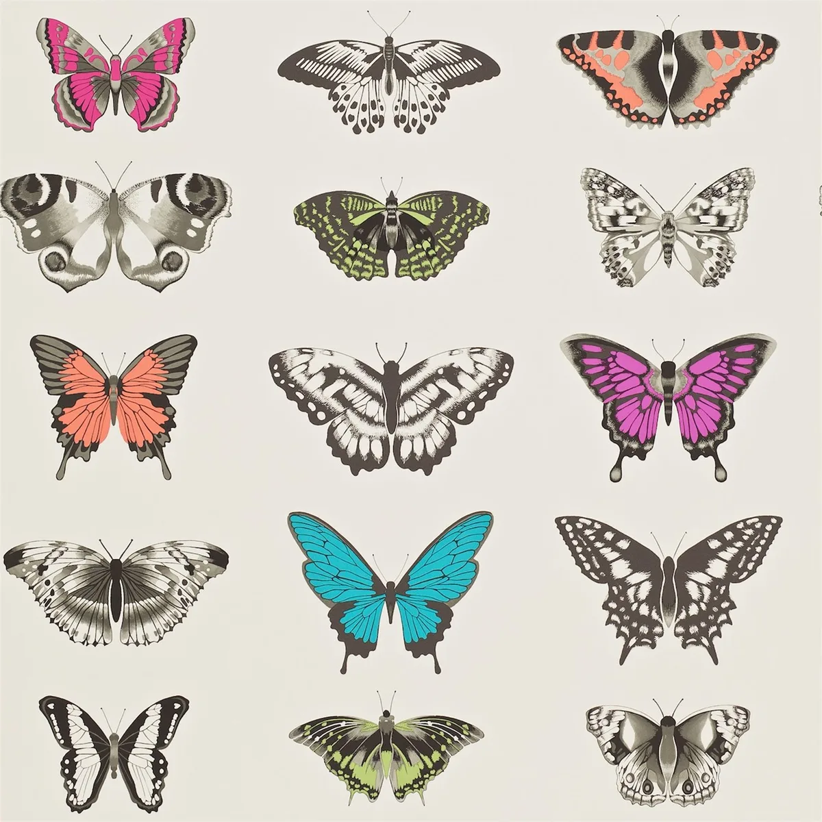 Papilio Flamingo/Papaya/Olive Wallpaper roomset