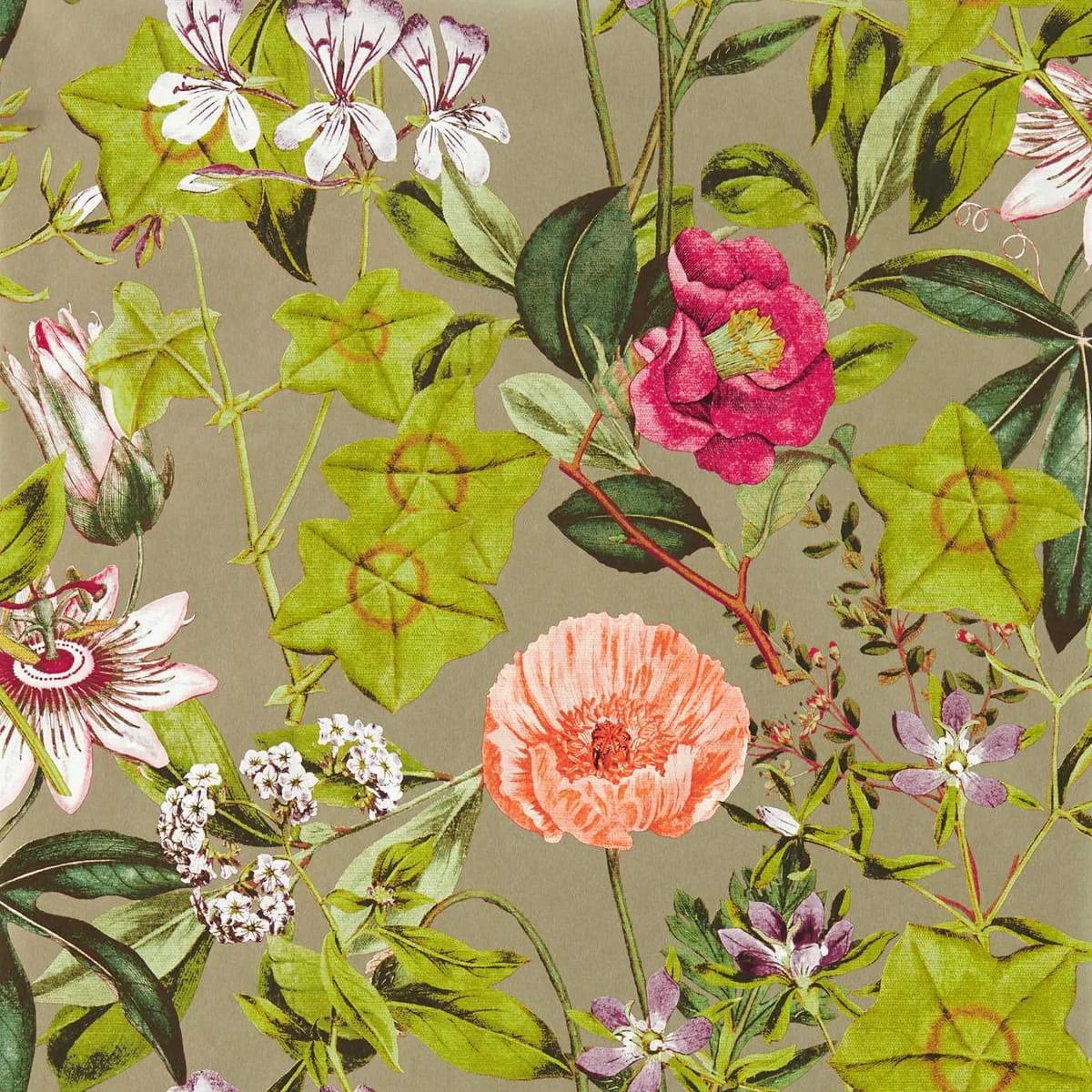 Passiflora Wallpaper — Mulberry/Gilver