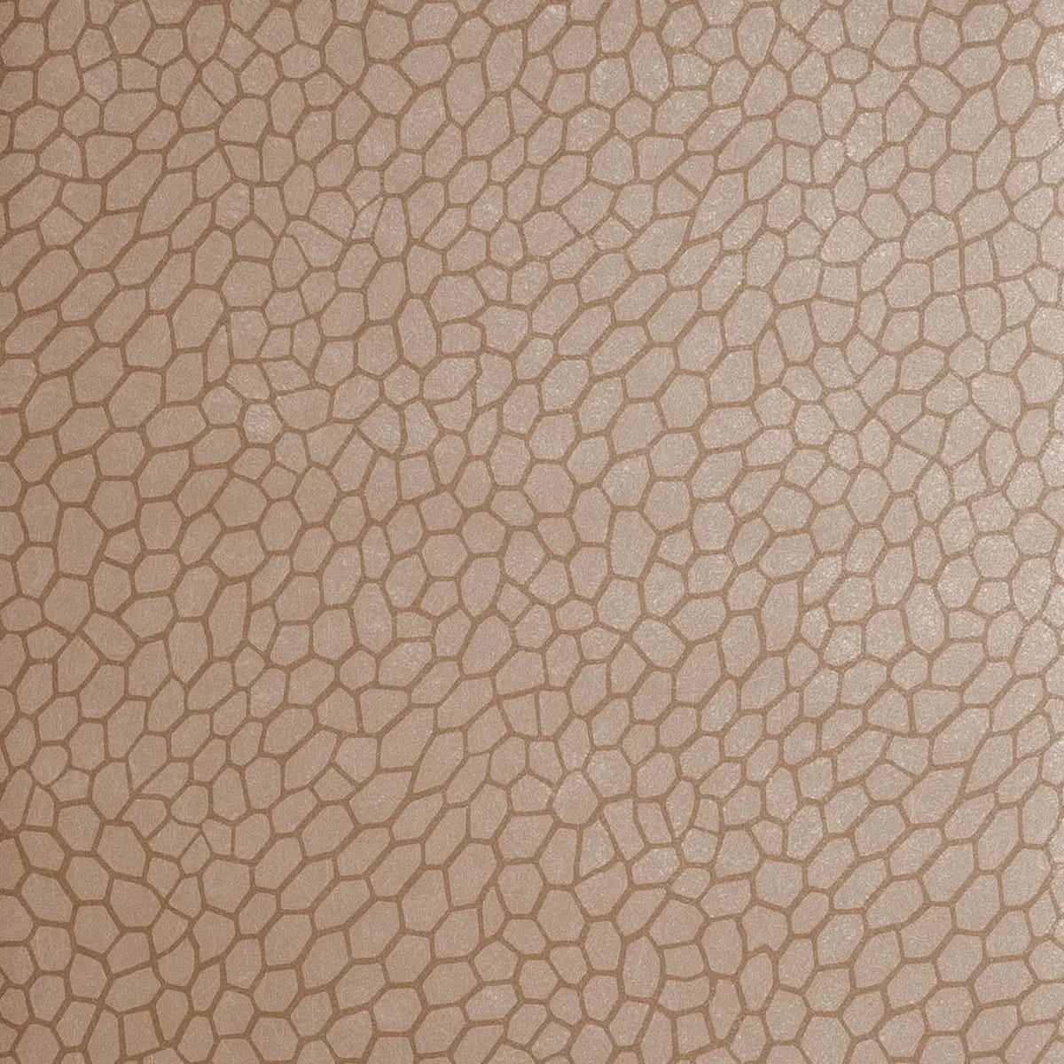 Playa Wallpaper roomset