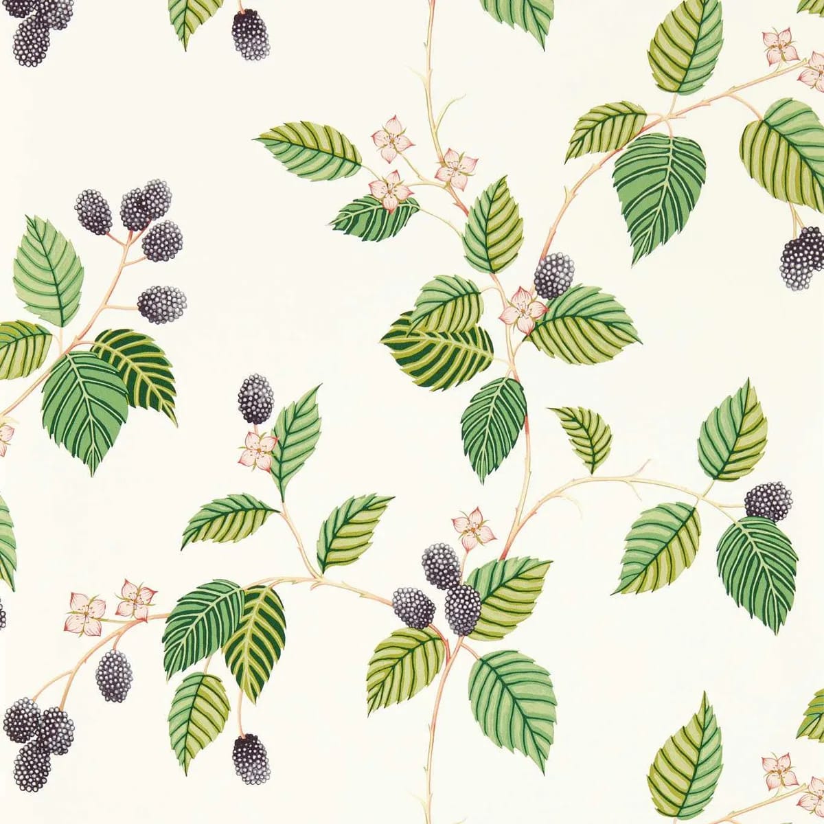Rubus Wallpaper roomset