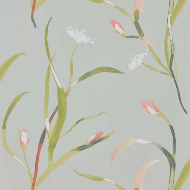 Saona Wallpaper