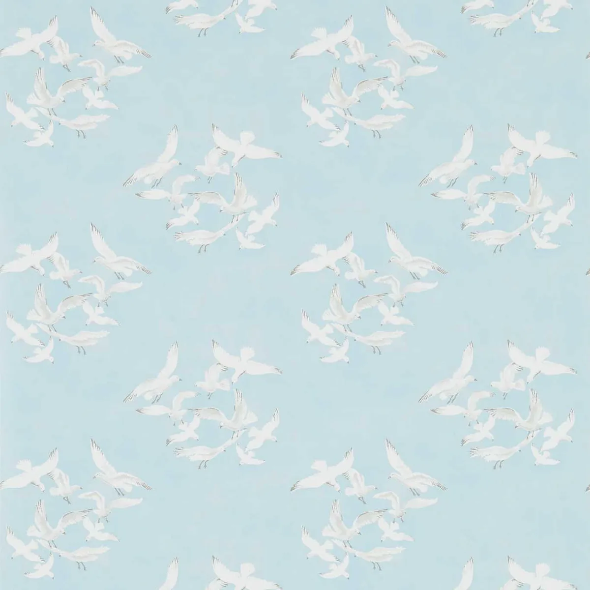 Seagulls Wallpaper roomset