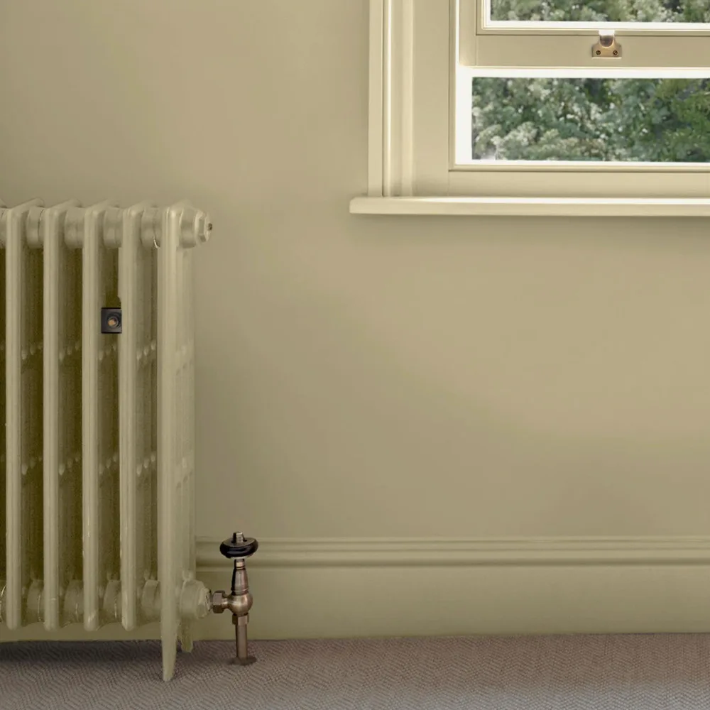 Southern Breeze Paint