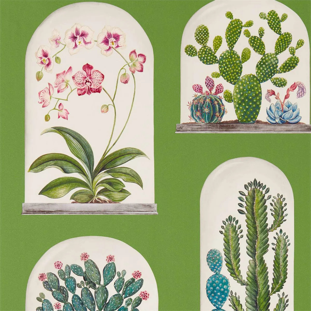 Terrariums Wallpaper roomset