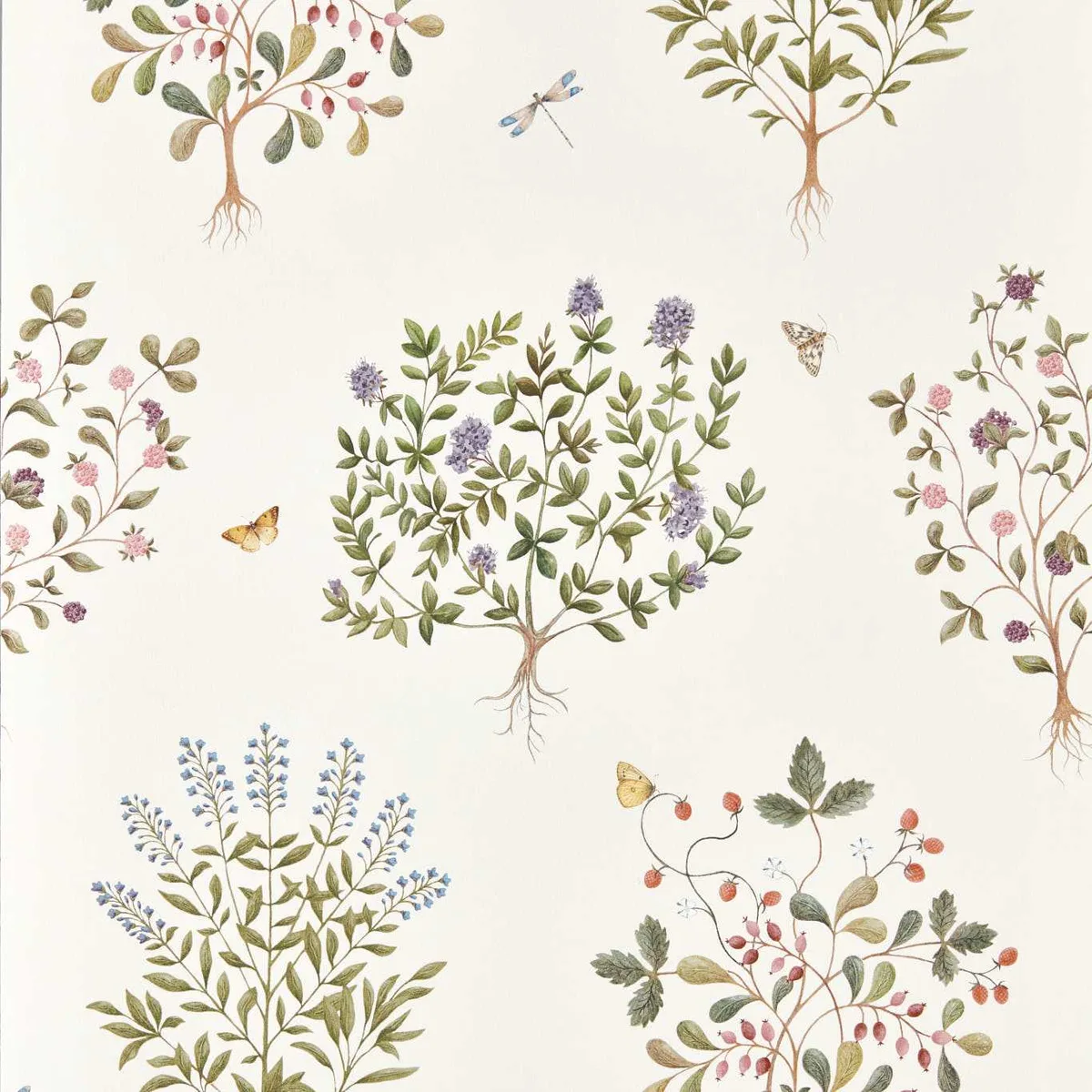 Thyme Walk Wallpaper roomset