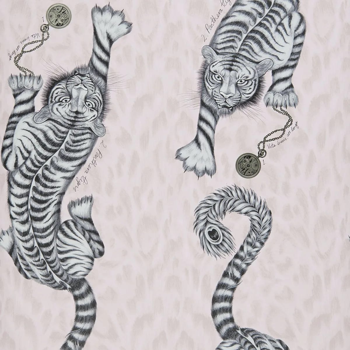 Tigris Wallpaper — Pink