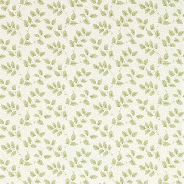 Tomato Leaf Wallpaper