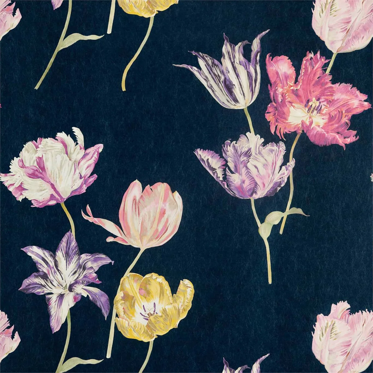 Tulipomania Ink Wallpaper roomset