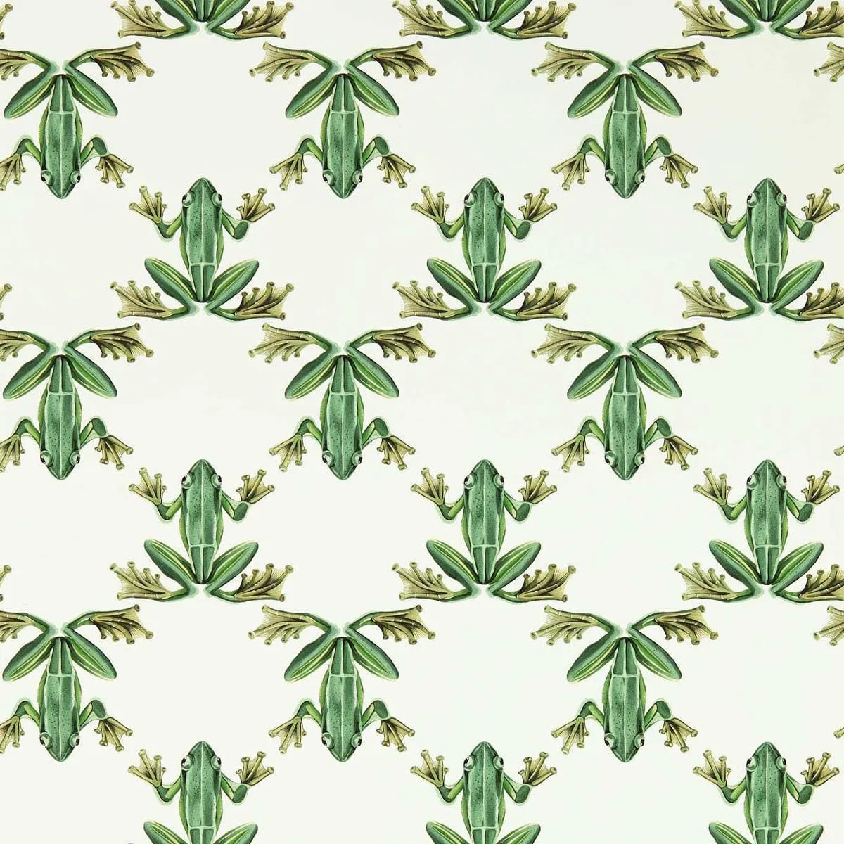 Wood Frog Wallpaper roomset
