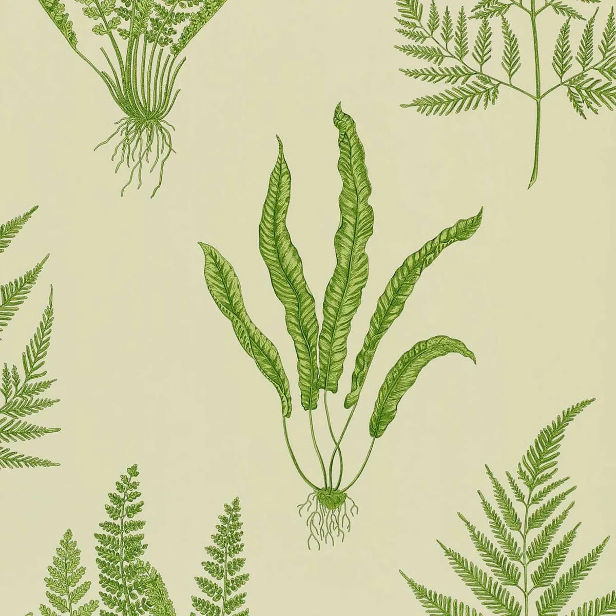 Woodland Ferns Green Wallpaper roomset