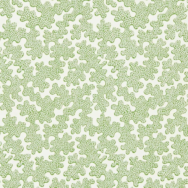 Zori Wallpaper